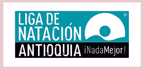 Liga Natación
